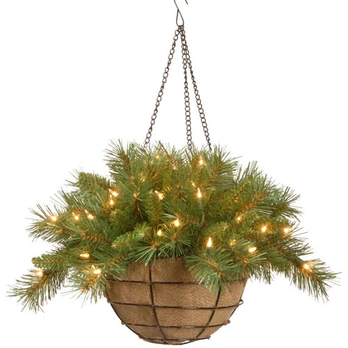 Christmas Central 20" Pre-Lit Battery-Operated Tiffany Fir Artificial Christmas Hanging Basket - Warm White LED Lights