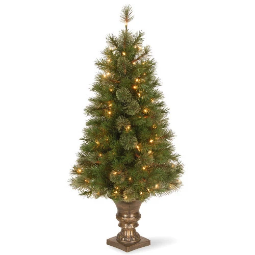 Christmas Central 4" Pre-Lit Atlanta Spruce Artificial Christmas Entrance Tree - Clear Lights