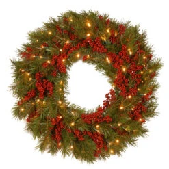 Christmas Central 24" Pre-Lit B/O LED Valley Pine Artificial Christmas Wreath β Warm White Lights