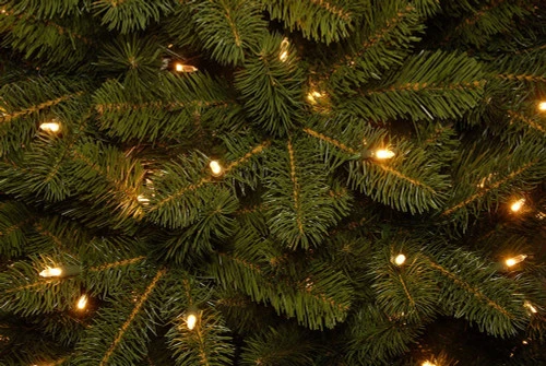 Christmas Central 10β Pre-Lit Downswept Douglas Fir Artificial Christmas Tree, Clear LED Lights - Image 2