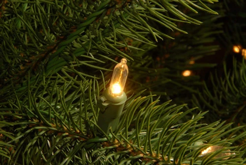 Christmas Central 10β Pre-Lit Downswept Douglas Fir Artificial Christmas Tree, Clear LED Lights - Image 3