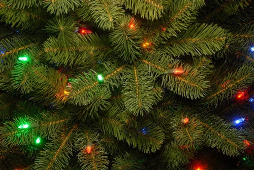 Christmas Central 10β Pre-Lit Downswept Douglas Fir Artificial Christmas Tree, Clear LED Lights - Image 4