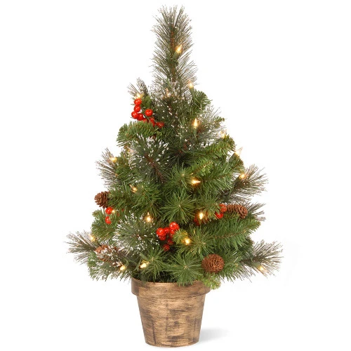 Christmas Central 2' Pre-lit Potted Vibrantly Colored Crestwood Spruce Artificial Christmas Tree β Clear Lights