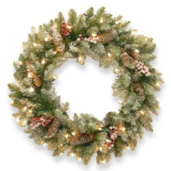 Christmas Central Pre-Lit Dunhill Fir Artificial Christmas Wreath With Red Berries β 24-Inch Clear Lights