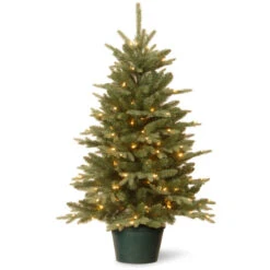 Christmas Central 3' Pre-lit Potted Evergreen Artificial Christmas Tree, Clear Lights