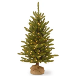 Christmas Central 4β Pre-lit Kensington Burlap Artificial Christmas Tree, Clear Lights
