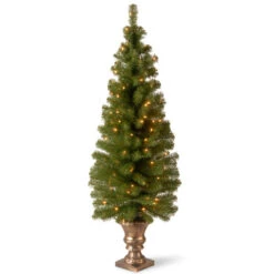 Christmas Central 5β Pre-Lit Potted Montclair Spruce Christmas Tree, Clear Lights
