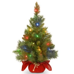 Christmas Central 2' Pre-Lit Potted Majestic Fir Full Artificial Christmas Tree, Multicolor LED Lights