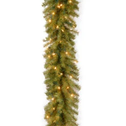 Christmas Central 9' Pre-Lit Norwood Fir Artificial Christmas Garland, Clear Lights