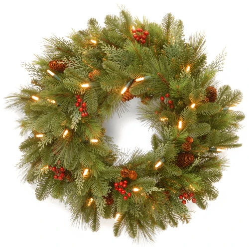 Christmas Central Pre-Lit Noelle Artificial Christmas Wreath, 24-Inch, White LED Lights