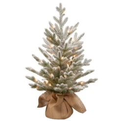 Christmas Central 2.5' Pre-Lit Potted Snowy Cambridge Medium Artificial Christmas Tree, White LED Lights