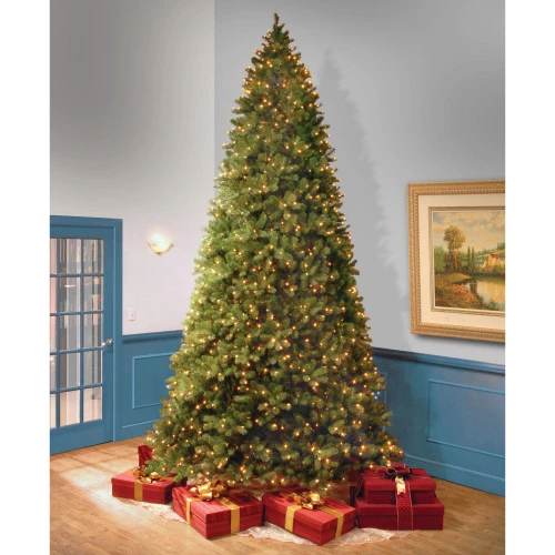 Christmas Central 12β Pre-Lit Downswept Douglas Fir Artificial Christmas Tree, Clear Lights - Image 4