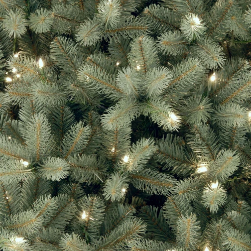 Christmas Central 6β Pre-Lit Downswept Douglas Blue Fir Christmas Tree - Clear Lights - Image 2