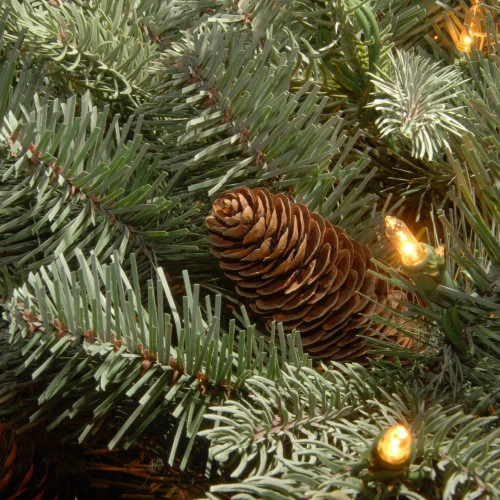 Christmas Central Pre-Lit Frosted Arctic Spruce Artificial Christmas Wreath, 24-Inch, Clear Lights - Image 2