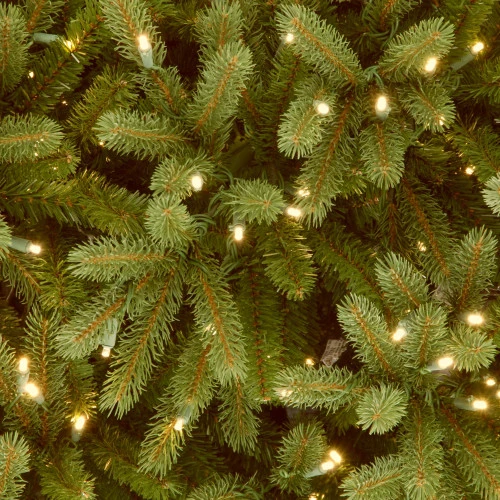 Christmas Central 12β Pre-Lit Full Jersey Fraser Artificial Christmas Tree, Clear Lights - Image 3