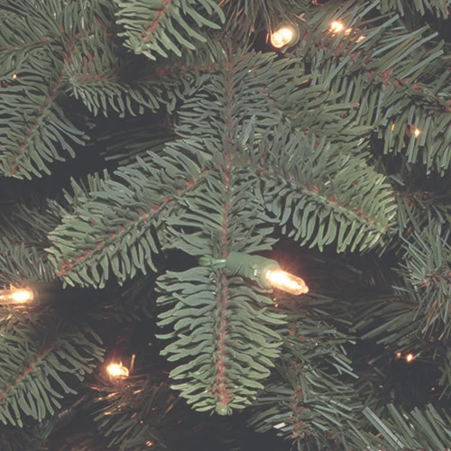 Christmas Central 7.5β Pre-Lit Blue Mountain Noble Spruce Artificial Christmas Tree, Clear Lights - Image 3