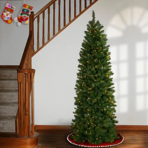 Christmas Central 6.5β Pre-Lit Pennington Fir Pencil Artificial Christmas Tree, Clear Lights - Image 2
