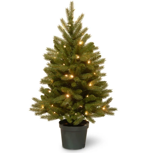 Christmas Central 3' Pre-lit Potted Jersey Fraser Fir Artificial Christmas Tree, White LED Lights